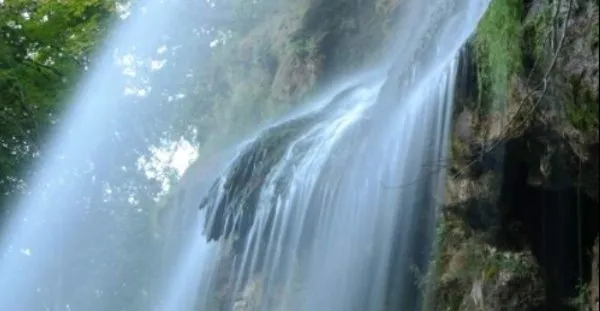 Rainforest Tour