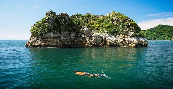 Tortuga Island Tours