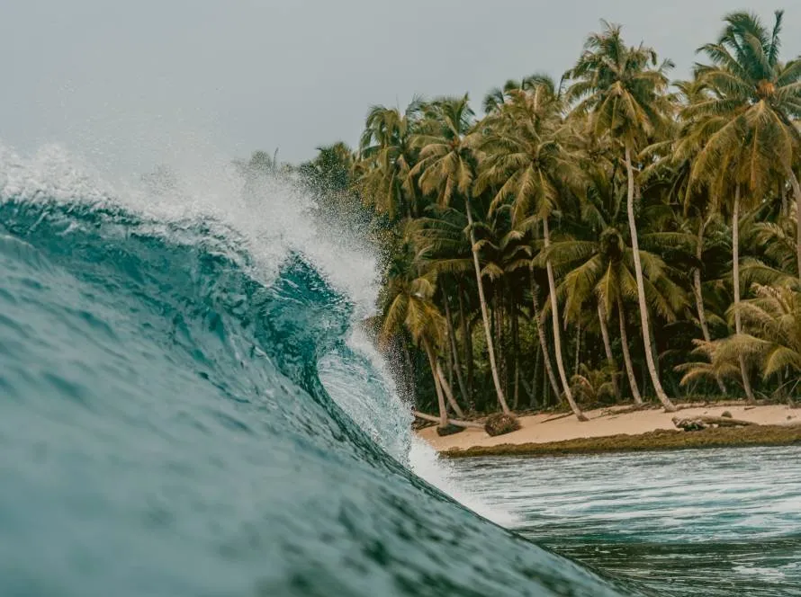 Surfing in Jaco: Tips for Beginners and Experts