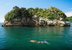 Tortuga Island