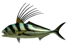 Royale Fishing