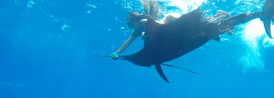 Inshore fishing in Costa Rica
