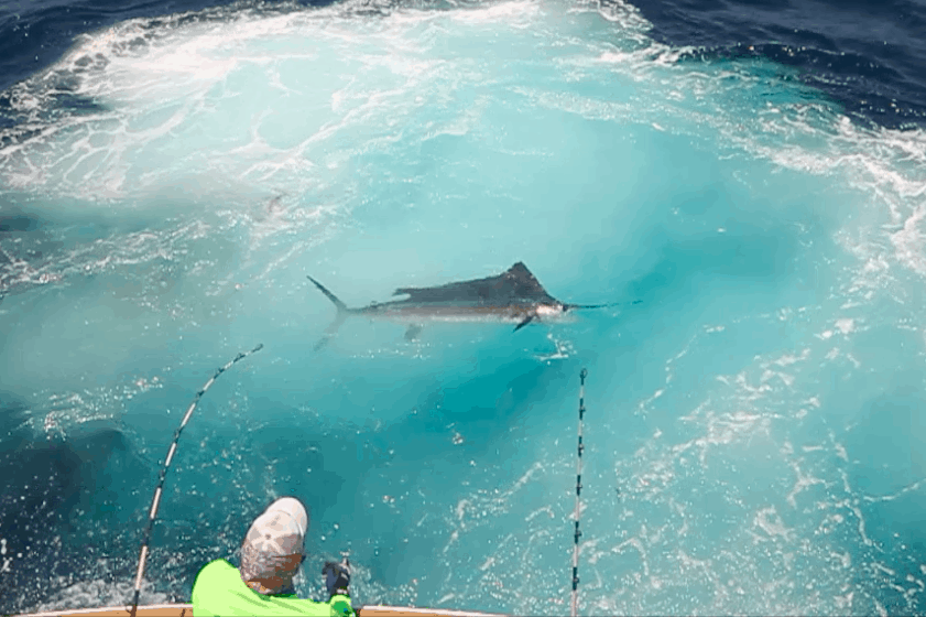 Offshore fishing in Costa Rica