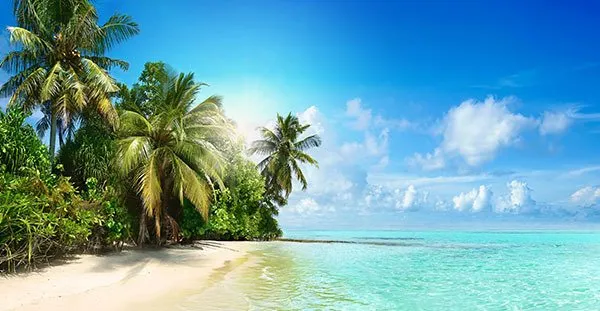 Snorkeling and lunch at Tortuga Island