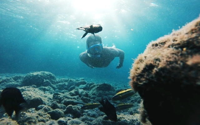 Scuba diving in Costa Rica