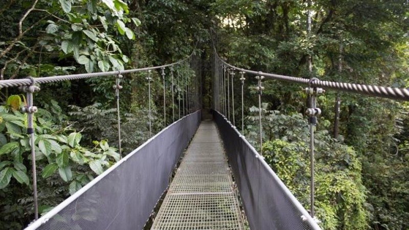 Walking bridge costa rica